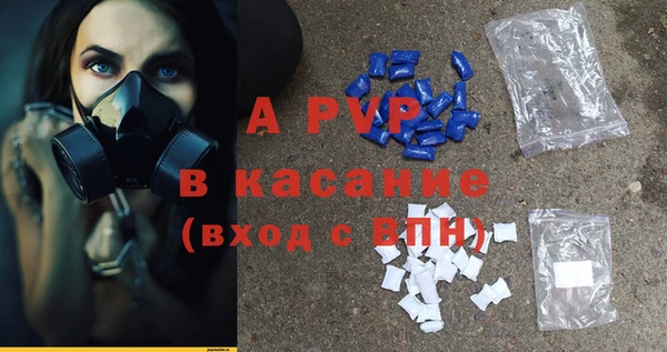 гидра Алексин