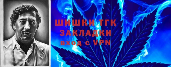 гидра Алексин