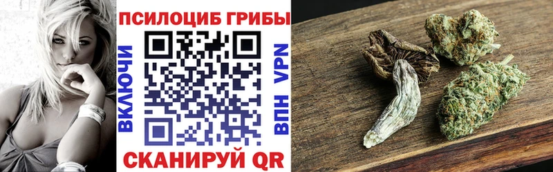 Псилоцибиновые грибы Cubensis  закладка  Суоярви 
